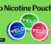 Velo Dubai Nicotine Pouches Review And User Experience