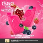 ISGO Paris 14000 Puffs Disposable Vape In Dubai UAE - Image 5