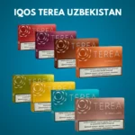 IQOS Terea Uzbekistan All Flavors in Dubai UAE
