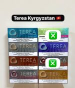 IQOS Terea Kyrgyzstan Tobacco Sticks in Abu Dhabi UAE - Image 2