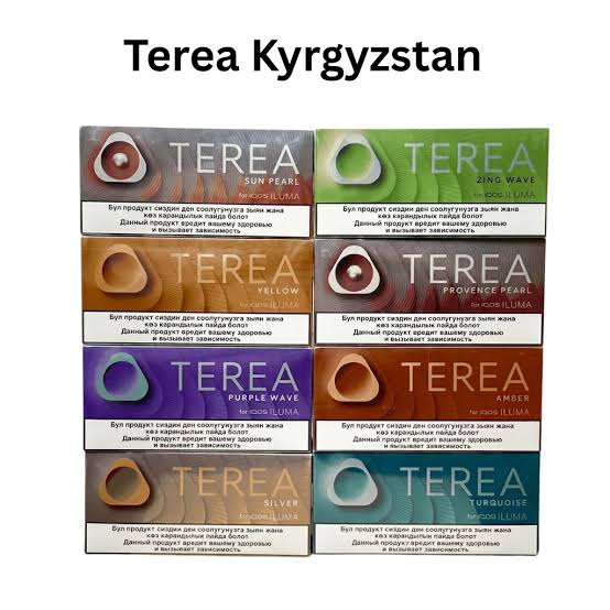 How to Use IQOS TEREA Kyrgyzstan